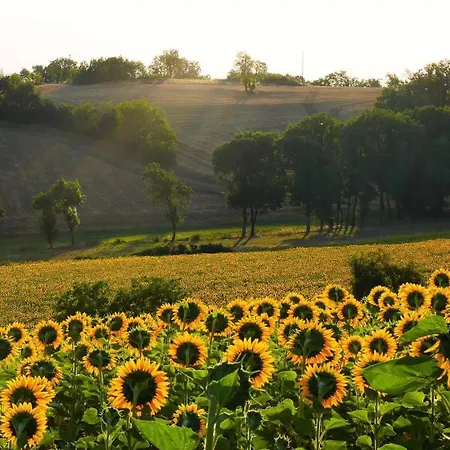 Bed & Breakfast La Bastide