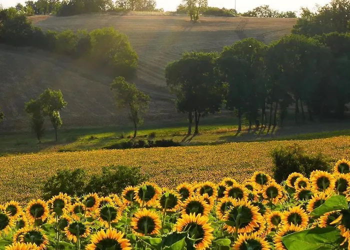Bed & Breakfast La Bastide